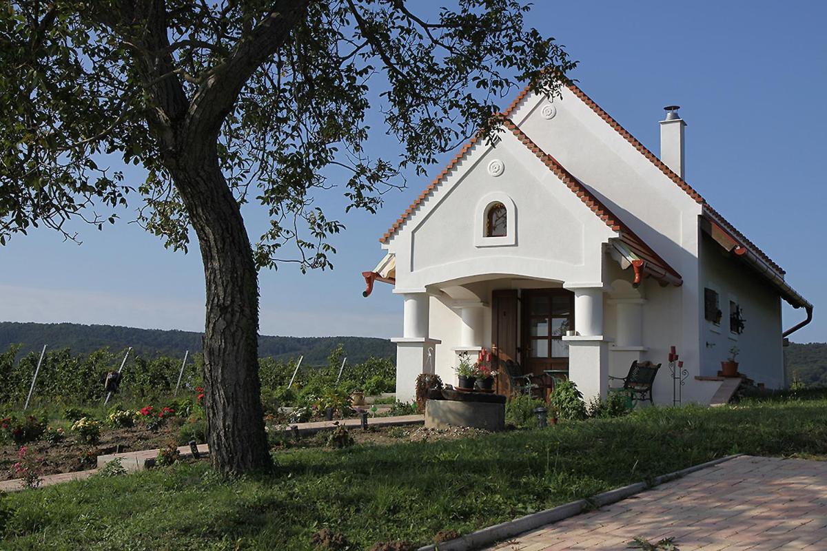 Вилла Casa Beata Lesencetomaj Экстерьер фото